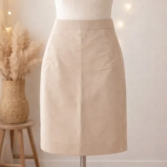 The Limited Beige Lined Pencil Skirt 2 Quiet Luxury Office Chic Minimalist - Picture 1 of 9